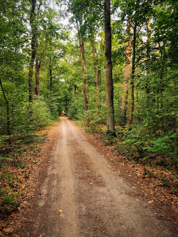 Wanderweg in der Nähe des Studios